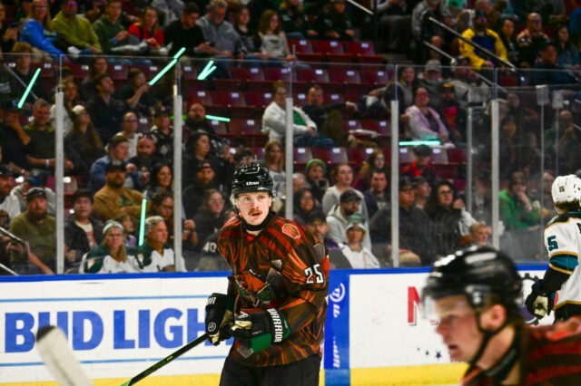 AHL contracts