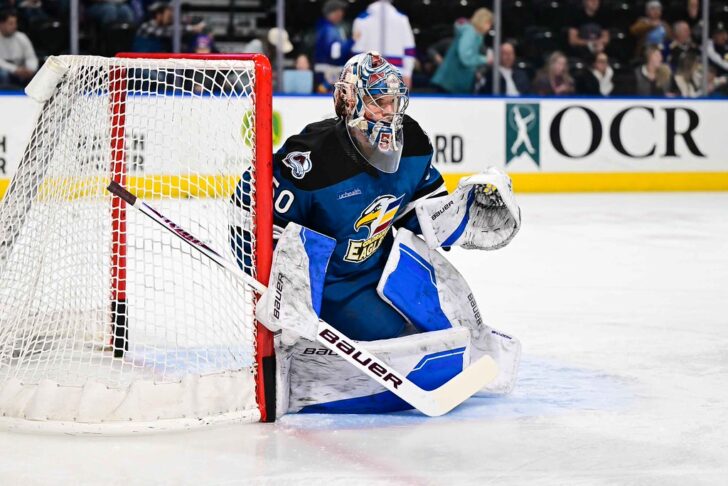 Goalie Trent Miner in net against the Bakersfield Condors. .
