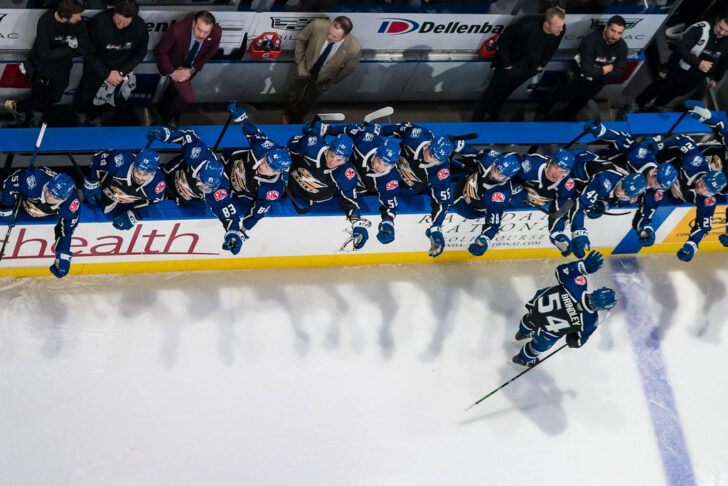 The Eagles celebrate a goal.